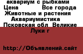 аквариум с рыбками › Цена ­ 1 000 - Все города Животные и растения » Аквариумистика   . Псковская обл.,Великие Луки г.